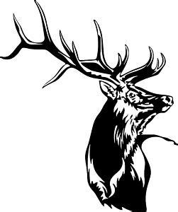 stags head | Elk silhouette, Silhouette art, Animal silhouette