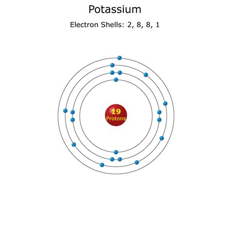 Potassium Atom - Science Notes and Projects