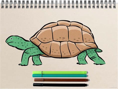 Easy Turtle Drawing Step By Step