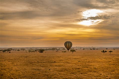 Serengeti Safari Tours & Budget Packages to Serengeti Park