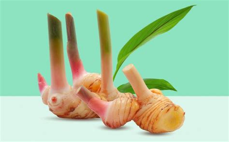 20 Science-Backed Health Benefits of Galangal Root - How To Ripe