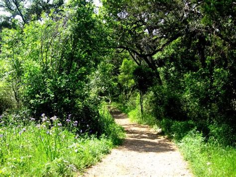 Mayfield Park- Peacocks and Hiking Trails in Central Austin Texas | Hiking trails, Hiking tours ...