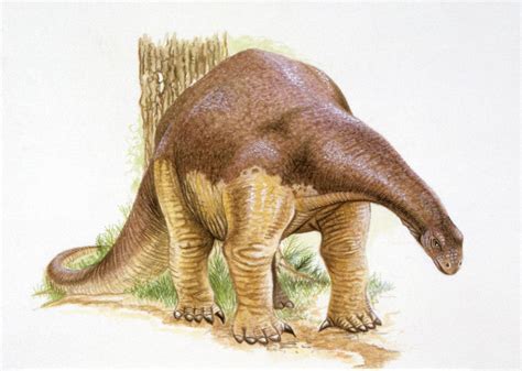 The 19 Smallest Dinosaurs and Prehistoric Animals