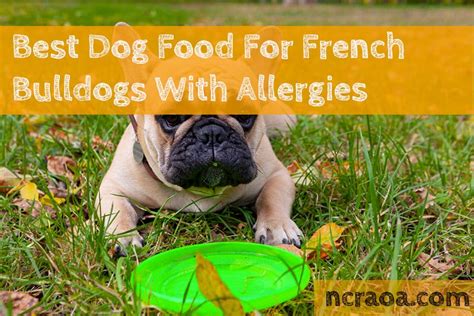 Got A French Bulldog With Allergies? Try This Dog Food (2024) | National Canine Research ...