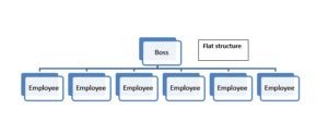 Flat Organization | Insight Tycoon