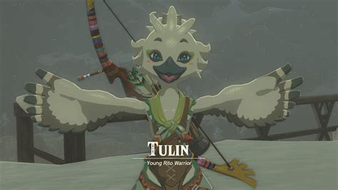 File:TotK Tulin Introduction.png - Zelda Wiki