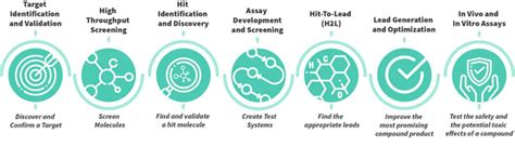 The Drug Discovery Process: What Is It and Its Major Steps