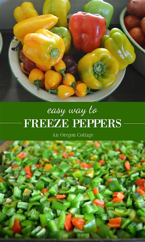 How to Freeze Peppers - Anaheim, Jalapenos, or Sweet