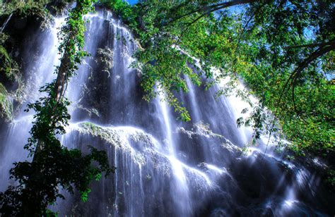 Whale Shark Watching in Oslob plus Kawasan Falls Day Tour