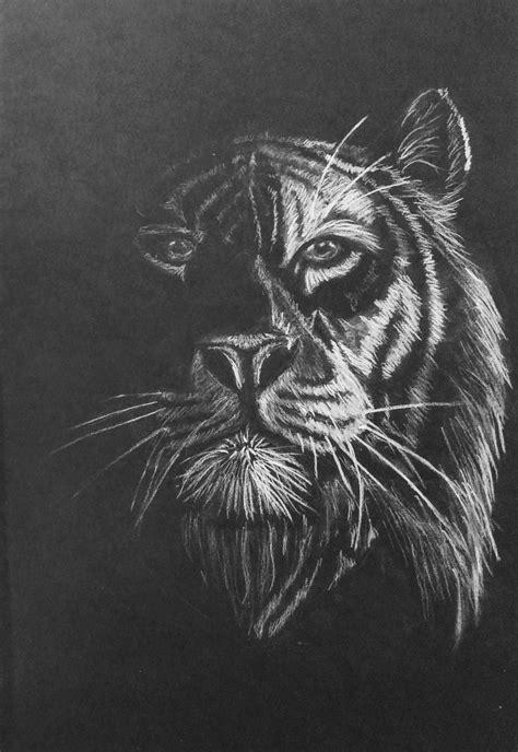 First try whth white chalk on black paper | Black paper drawing, Black paper, Scratchboard drawings