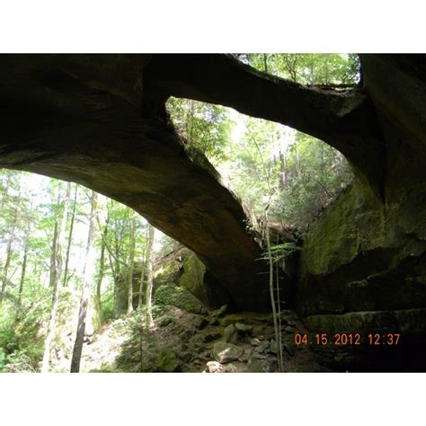 Natural Bridge of Alabama, Natural Bridge, AL-Longest Natural Bridge East of the Rockies. Park ...