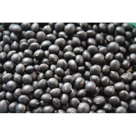 Black Soybean - Wholesale Price & Mandi Rate for Black Soybean