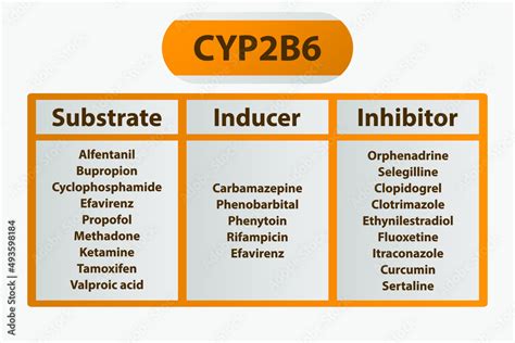 CYP2B6 Cytochrome p450 enzyme pharmaceutical substrates, inhibitors and ...