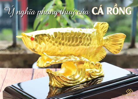 Ý nghĩa của cá rồng trong phong thủy là gì? - Máy Ép Cám Nổi | Dây ...