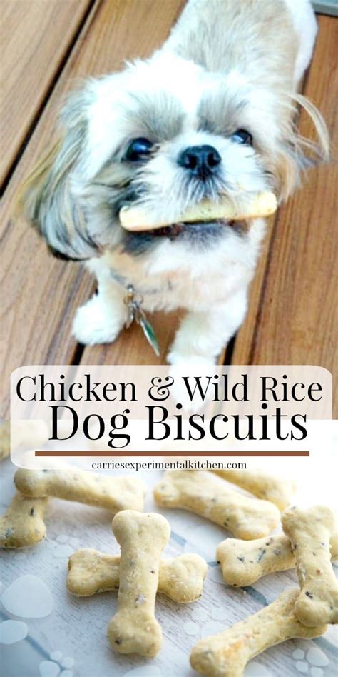 Dogs are part of the family too, so why not treat them to these special ...