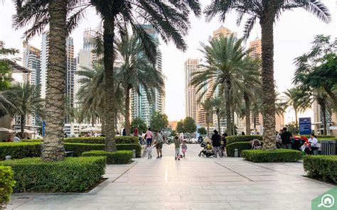 Guide to Dubai Marina Walk: Restaurants, Shops, Location & More - MyBayut