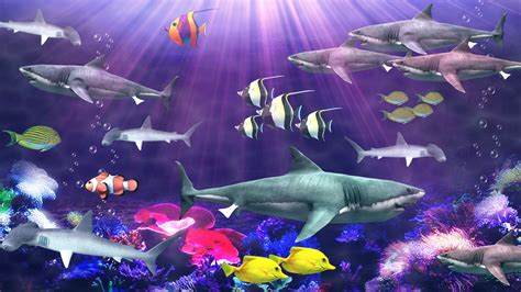 Shark aquarium live wallpaper - Android Apps on Google Play