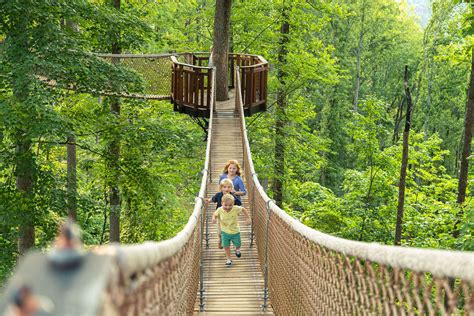 18 of the Best Things to do in Gatlinburg with Kids - The Family ...