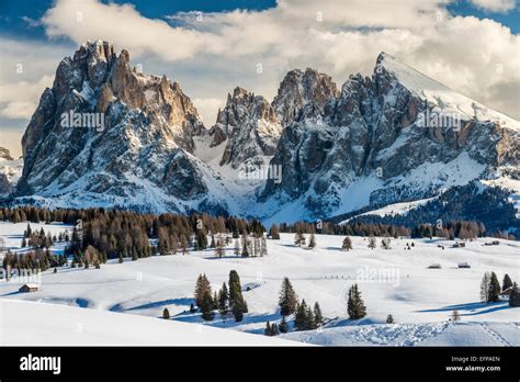 Scenic winter view of Seiser Alm Alpe di Siusi with Sassolungo ...