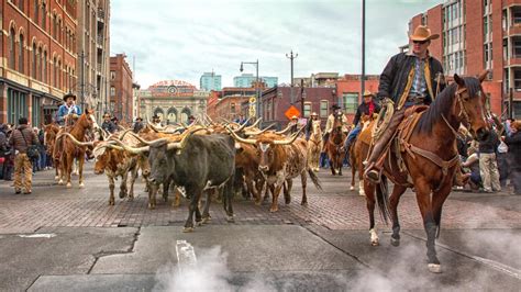 National Western Stock Show parade: What you need to know | 9news.com