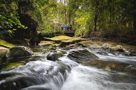 Chasing Glow Worms in Te Anau, New Zealand (with Map and Images) - Seeker