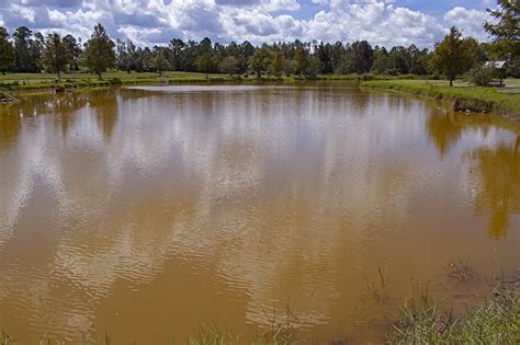 Managing Muddy Ponds | Panhandle Agriculture