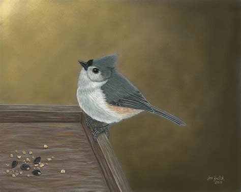 Tufted Titmouse Painting, Titmouse Print, Titmouse Art, Titmouse Picture, Tufted Titmouse At ...