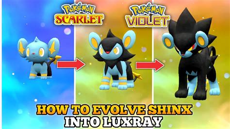 How To Evolve Shinx Into Luxio And Luxray In Pokemon Scarlet Violet | Paldea Region - YouTube