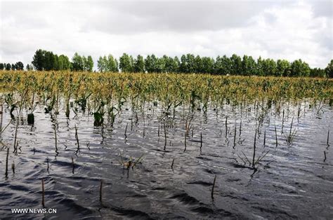 Worst floods seen at sections of Heilong River- China.org.cn