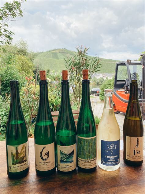 4 Must Visit Wineries in the Mosel Valley (Moselle Valley) of Germany — Lexi's Wine List