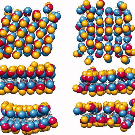 Hydrophobic packing of the glutamine side-chain carbons in α- (left ...