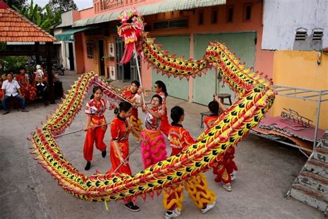 Dragon dancers scale up ambitions in Vietnam | Tuoi Tre News