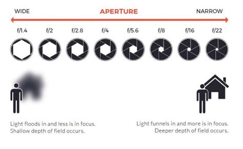 What is Aperture? Understanding F-Stop in Photography