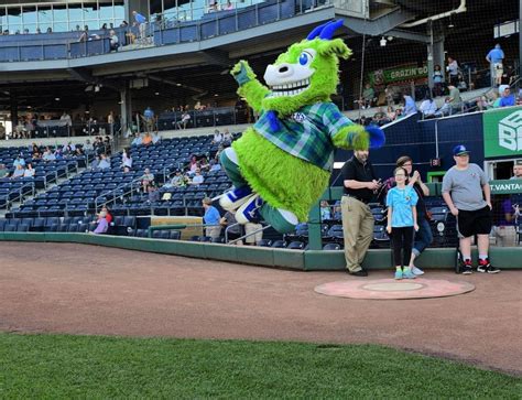 Hartford Yard Goats vs Somerset Patriots