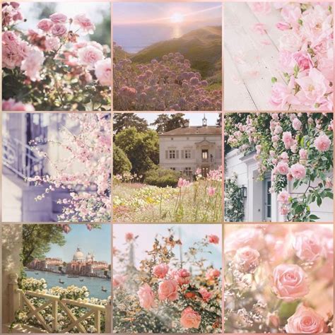 Pink flowers moodboard | Mood boards, Mood board, Pink aesthetic