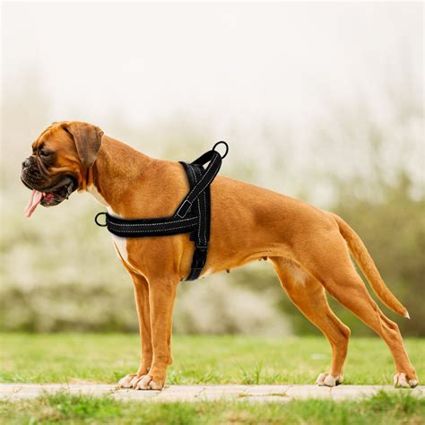 Escape Proof Reflective Dog Harness For Walking Training