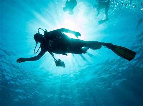 Restoring Reefs in Sint Maarten | Reef Life Foundation