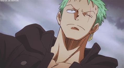 zoro | Tumblr | Zoro one piece, One piece gif, Roronoa zoro