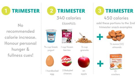 A Dietitian's Guide to Nutrition in Pregnancy