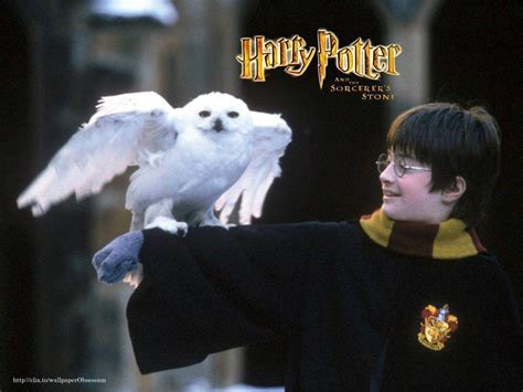 Harry Potter and the Sorcerer's Stone - Harry James Potter Wallpaper (9649827) - Fanpop