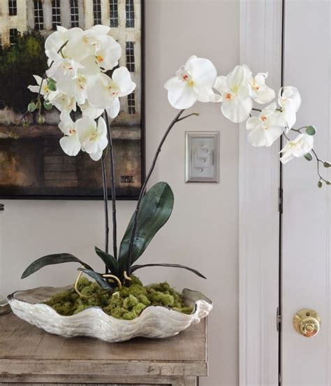 Orchid pots – how to choose the best pots for orchids?