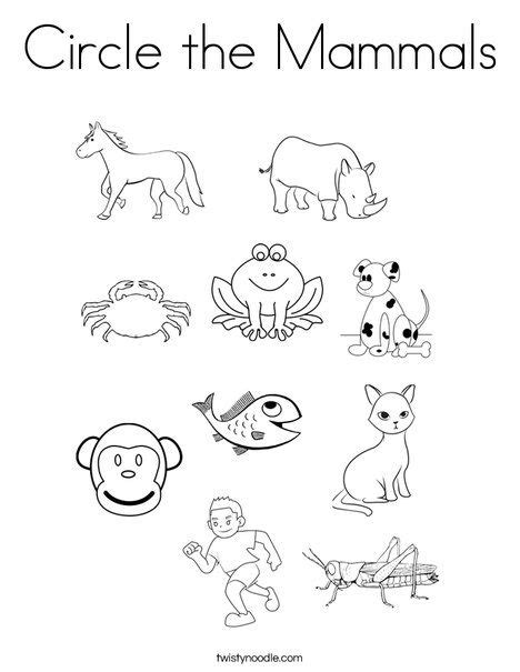 Circle the Mammals Coloring Page | Mammals activities, Mammals, Animal ...