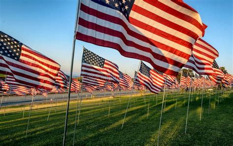 Many American Flags Flying on Green Meadow with Blue Sky Background ...