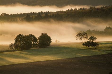 Early Morning Fog Lit By The Sunrise In by Marcoschmidt.net