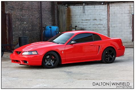 new pics of my performance red 01 cobra | SVTPerformance.com