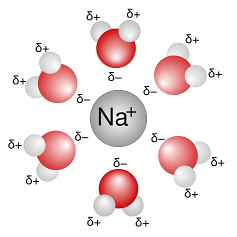 Solubility Rules The Ultimate Guide To Ap® Chemistry | Free Download Nude Photo Gallery