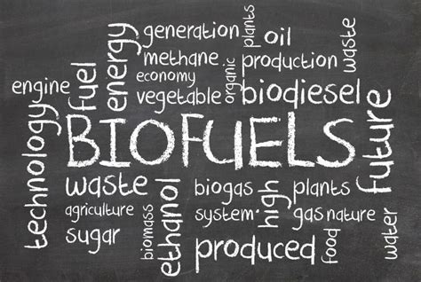 Various Advantages and Disadvantages of Biofuels - Conserve Energy Future