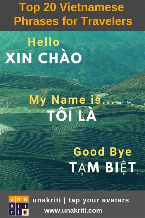 What are Vietnamese Language Phrases to introduce yourself? Vietnamese Phrases, Learn Vietnamese ...