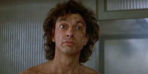 Yes, SNL Should Definitely Bring Jeff Goldblum Back To Play The Fly For ...