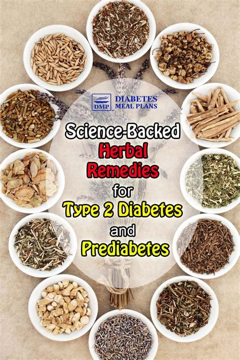 Science-Backed Herbal Remedies for Diabetes and Prediabetes